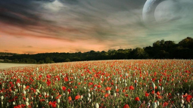 真的没有人觉得2k是一个很尴尬的分辨率吗?